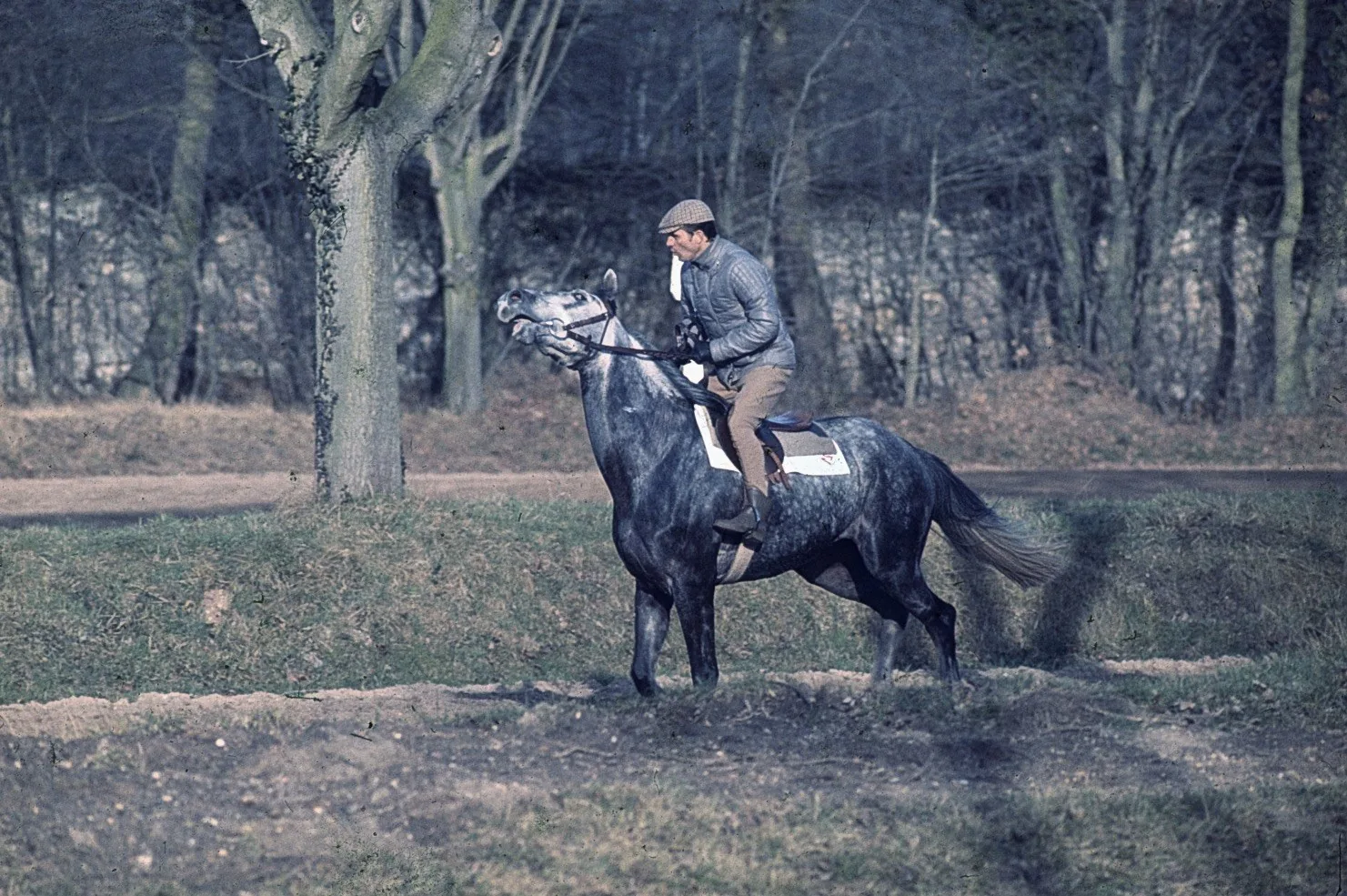 La piste Maisons-Laffitte — 3